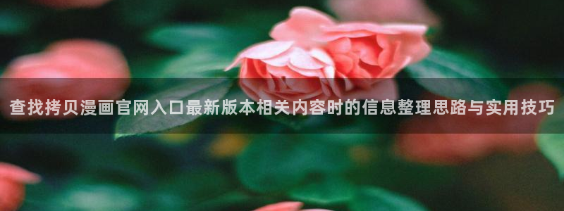 免费漫画恋爱漫画:查找拷贝漫画官网入口最新版本相关内容时的信息整理思路与实用技巧