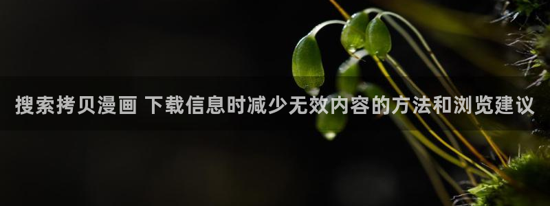 免费漫画人气榜:搜索拷贝漫画 下载信息时减少无效内容的方法和浏览建议