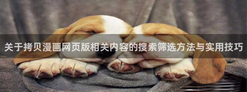 免费漫画最新入口:关于拷贝漫画网页版相关内容的搜索筛选方法与实用技巧