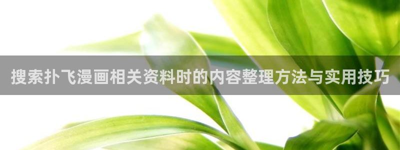 漫画免费看:搜索扑飞漫画相关资料时的内容整理方法与实用技巧